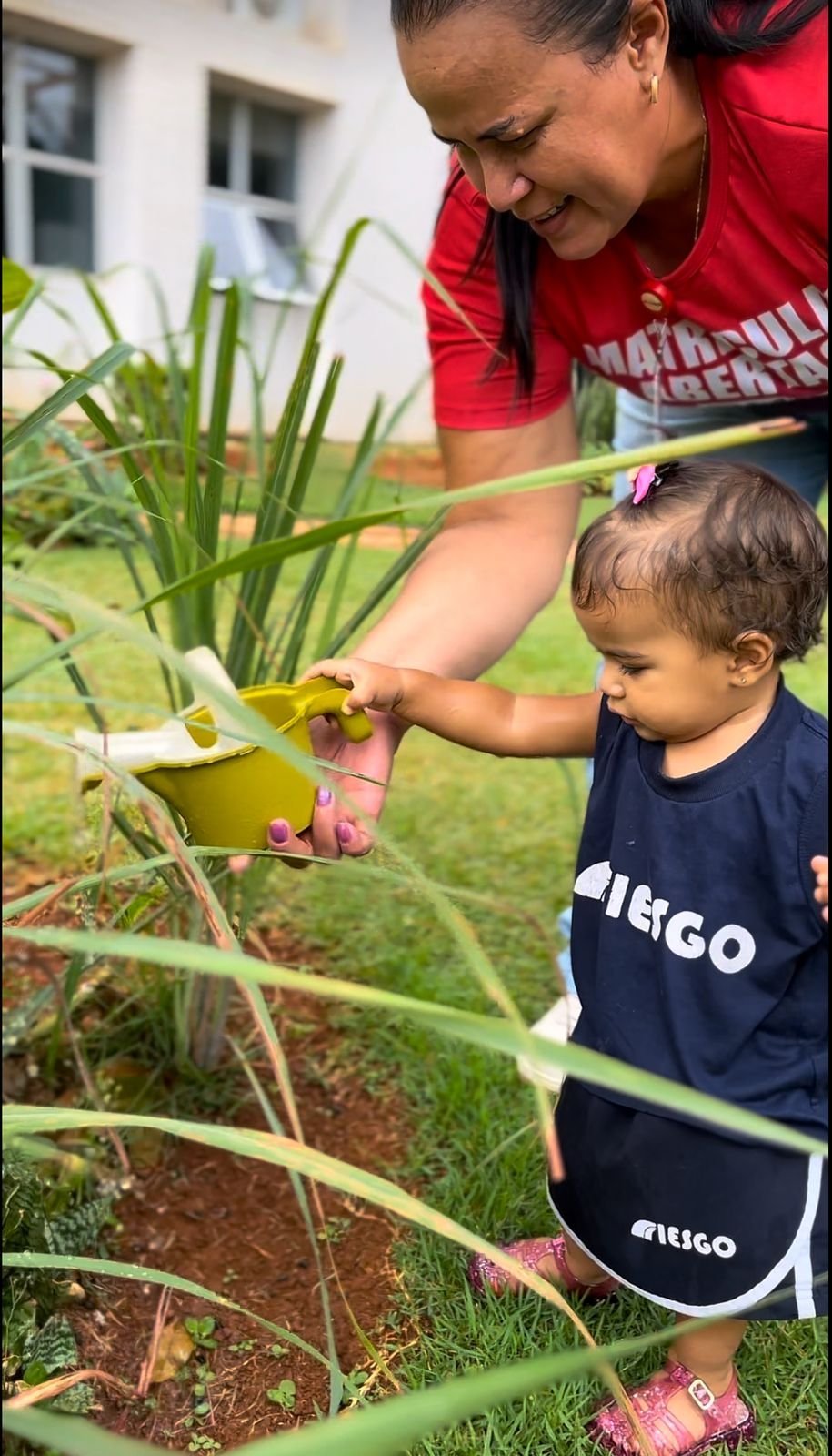 Educação Infantil 5